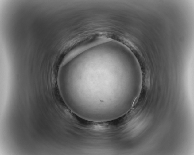 X0000085780569200703161209