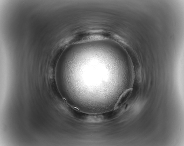 X0000085780571200703161209