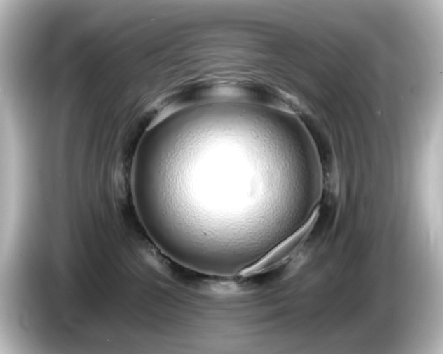 X0000085780572200703161209