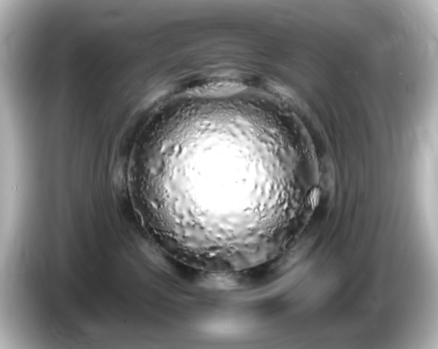 X0000085780573200703161209