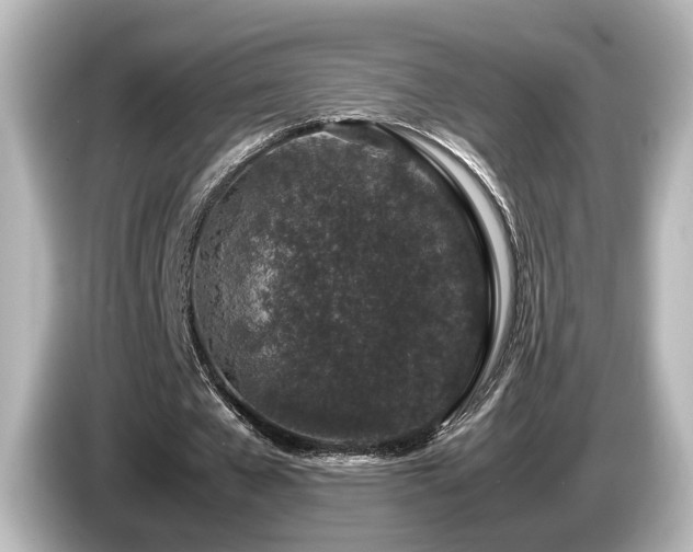 X0000085780577200703161208