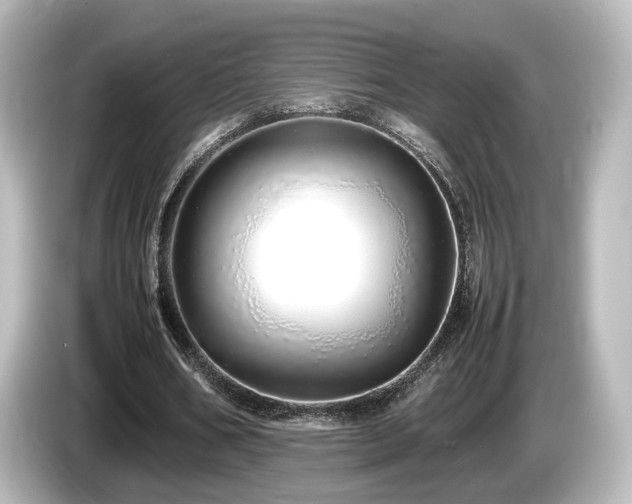 X0000085780578200703161208