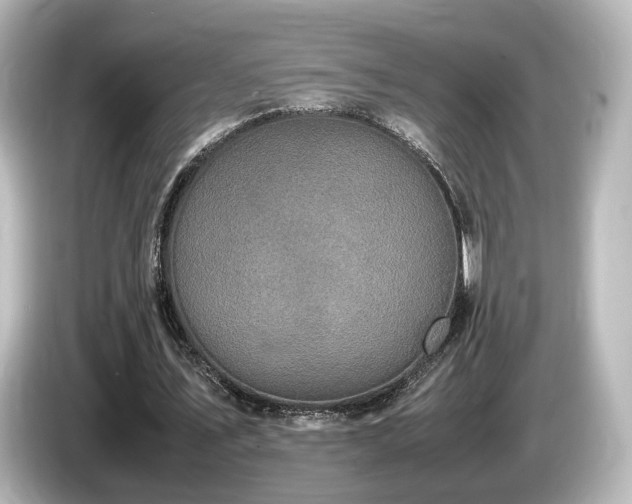 X0000085780579200703161208