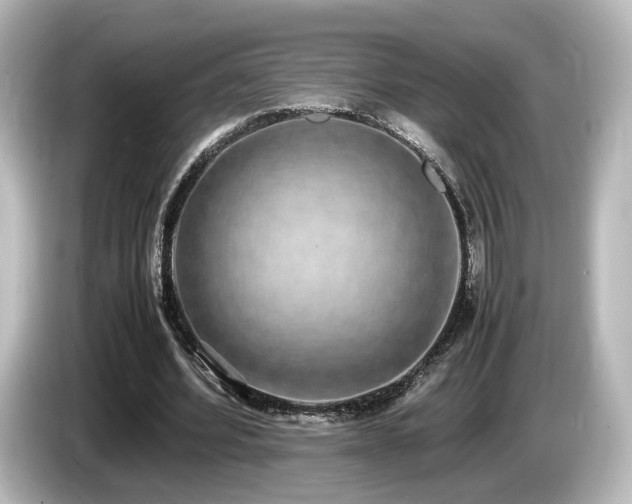 X0000085780580200703161208