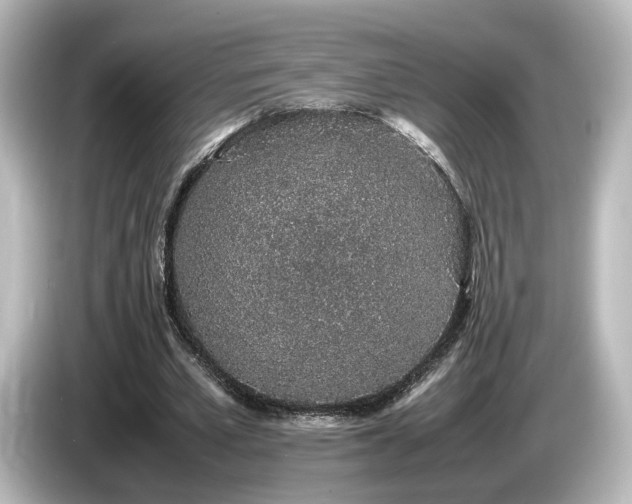 X0000085780581200703161208