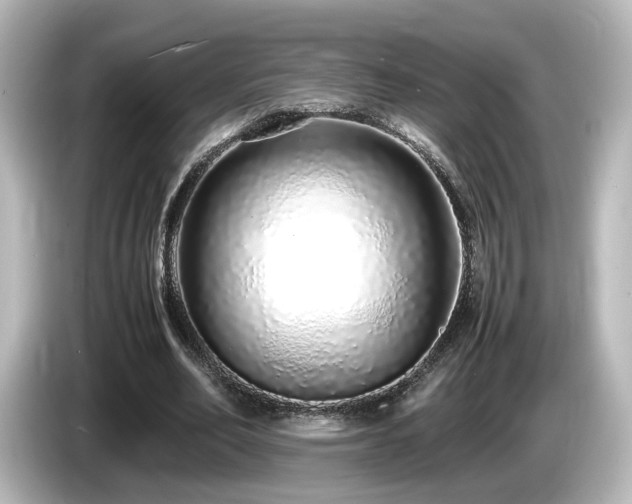 X0000085780582200703161208