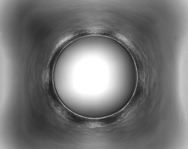 X0000085780583200703161208