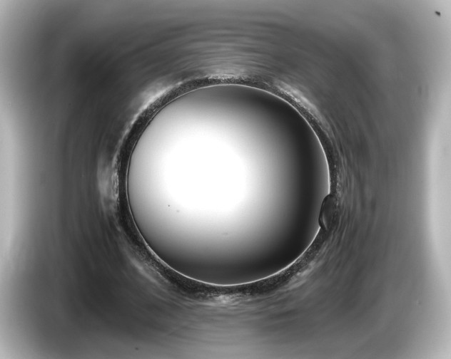 X0000085780584200703161208