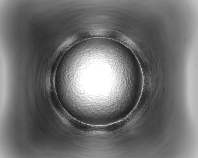 X0000085780586200703161208