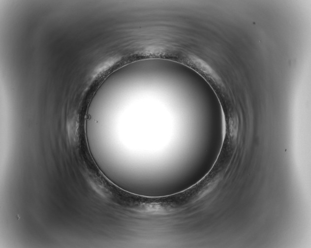 X0000085780588200703161208