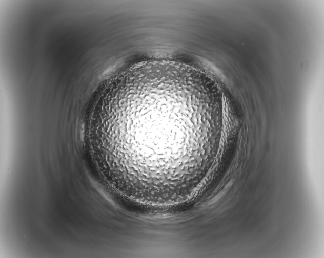 X0000085780589200703161208