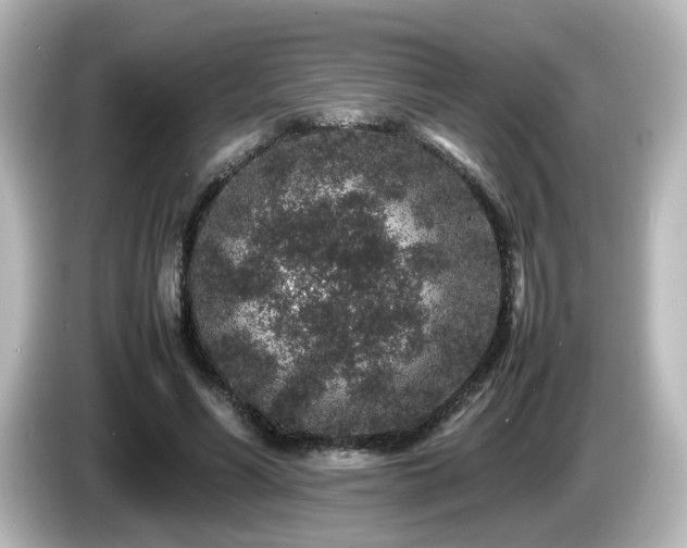 X0000085780590200703161208