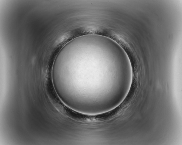 X0000085780591200703161208