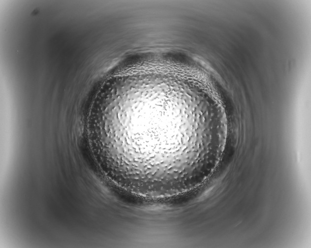 X0000085780593200703161208