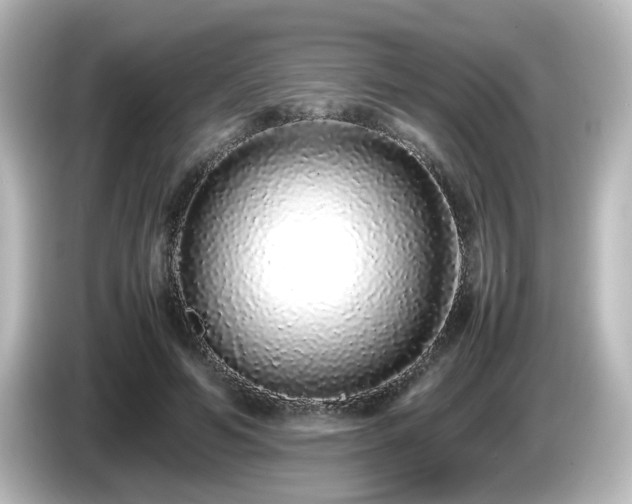 X0000085780594200703161208