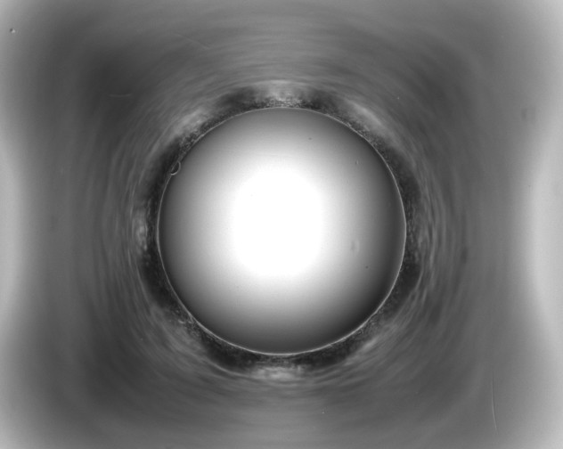 X0000085780595200703161208