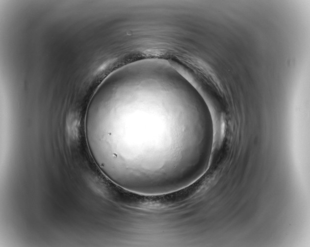 X0000085780596200703161208