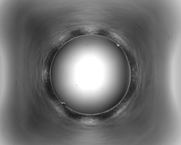 X0000085780597200703161208