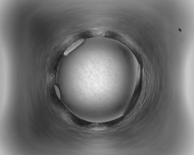 X0000085780601200703161208