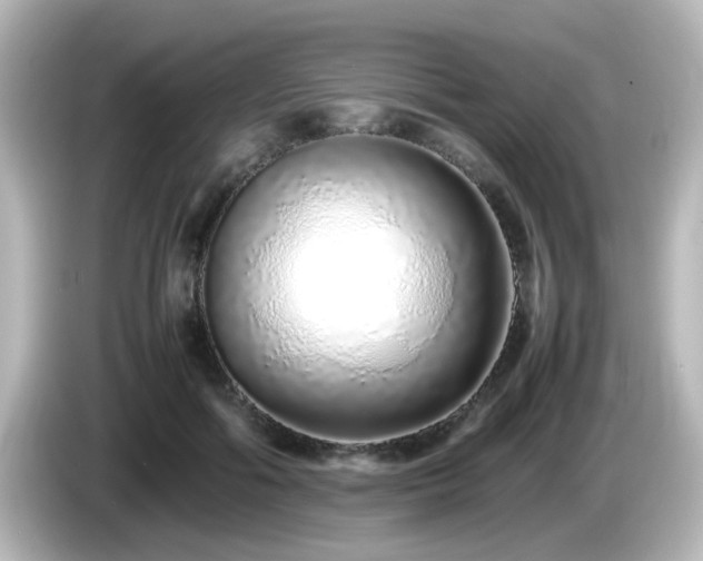 X0000085780602200703161208