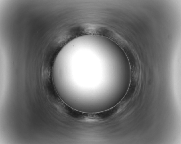 X0000085780603200703161208