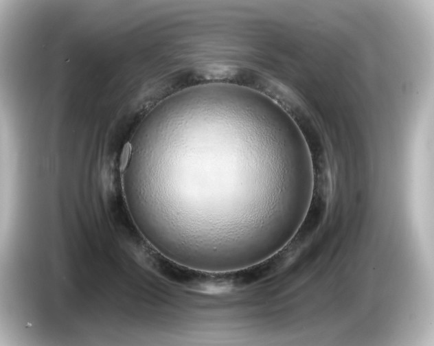 X0000085780604200703161208