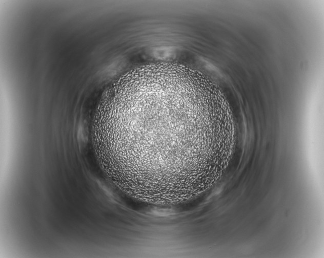 X0000085780606200703161208