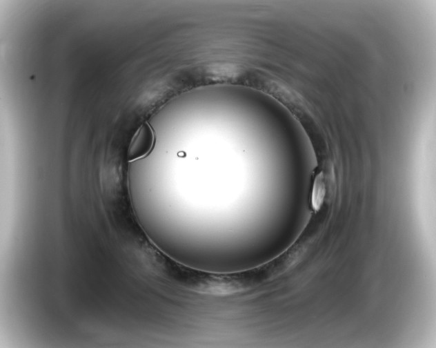 X0000085780608200703161208