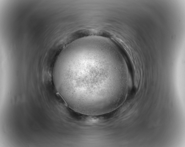 X0000085780613200703161208