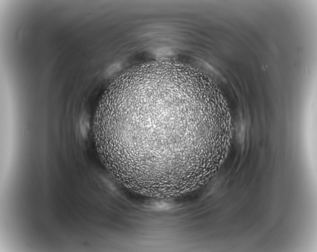 X0000085780618200703161208