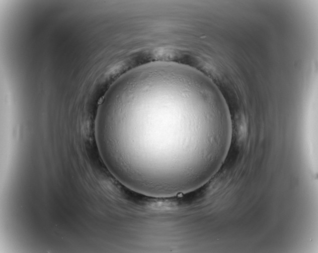 X0000085780619200703161208