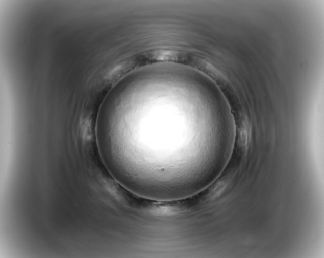 X0000085780620200703161208