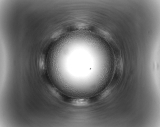 X0000085780622200703161208