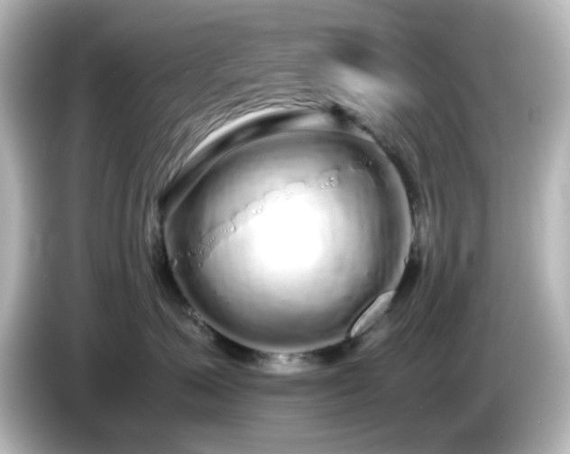 X0000085780623200703161208