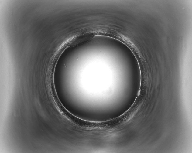 X0000085780625200703161207