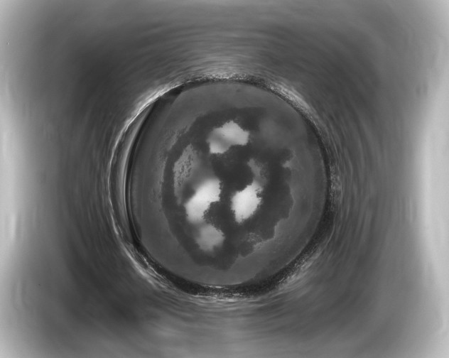 X0000085780626200703161207