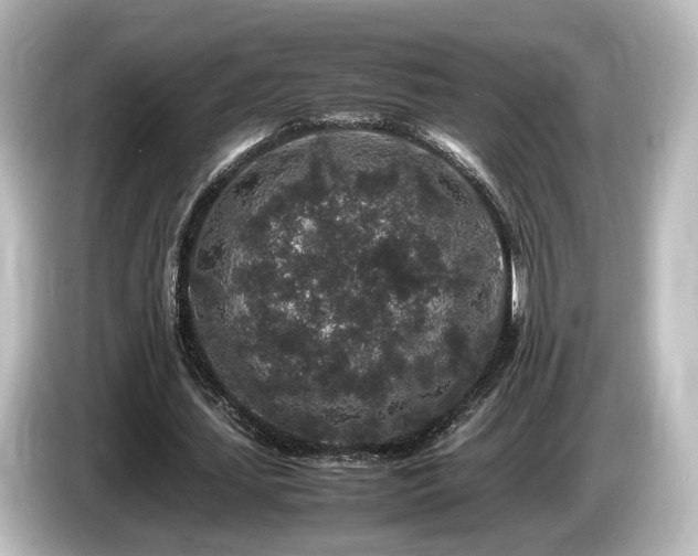 X0000085780627200703161207