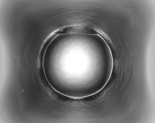 X0000085780628200703161207