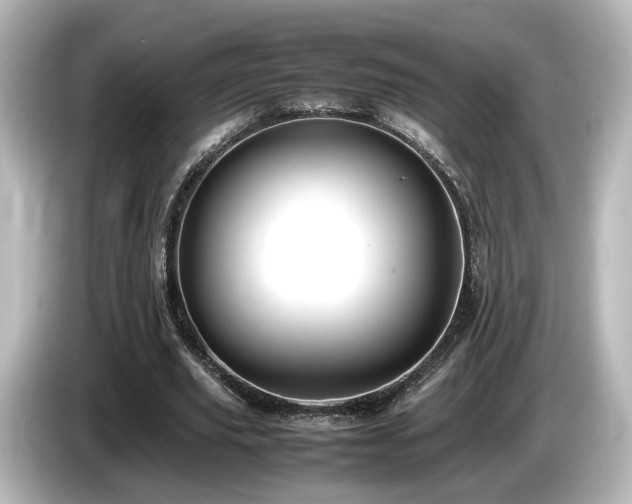 X0000085780629200703161207