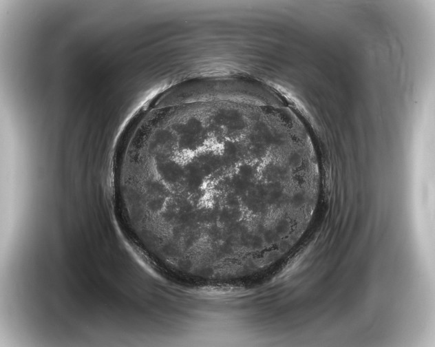 X0000085780630200703161207