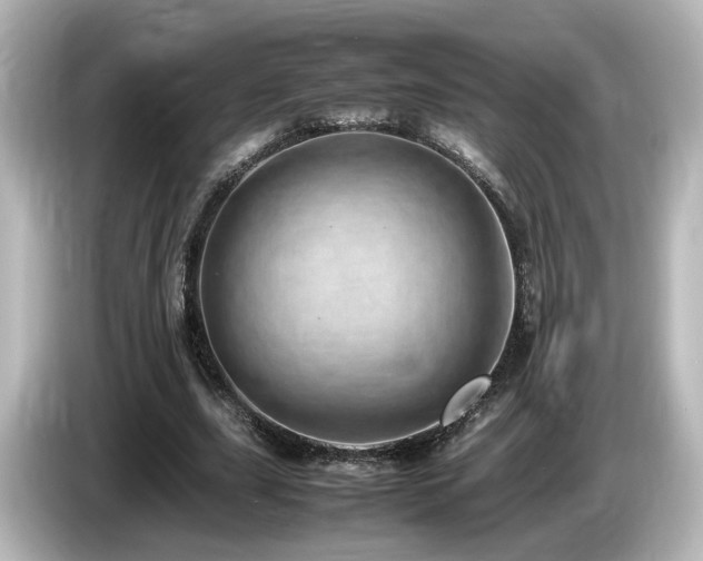 X0000085780631200703161207