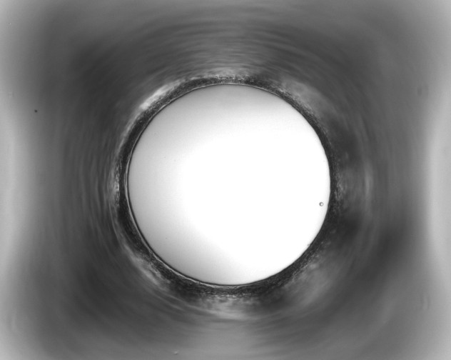 X0000085780632200703161207