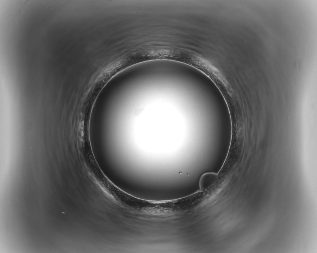 X0000085780633200703161207