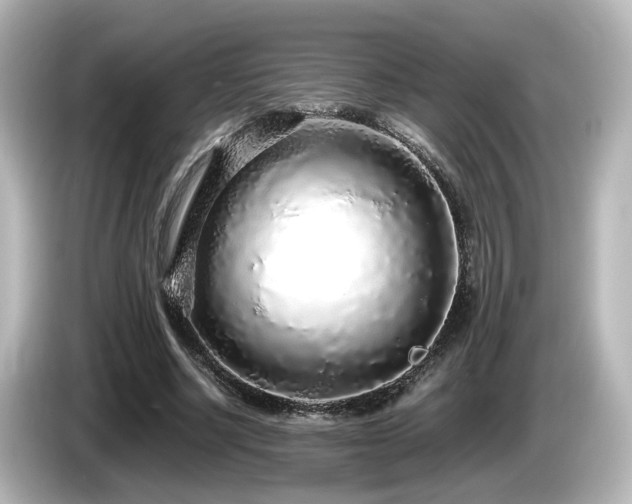 X0000085780634200703161207