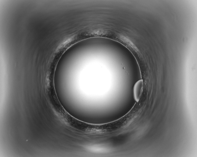 X0000085780635200703161207