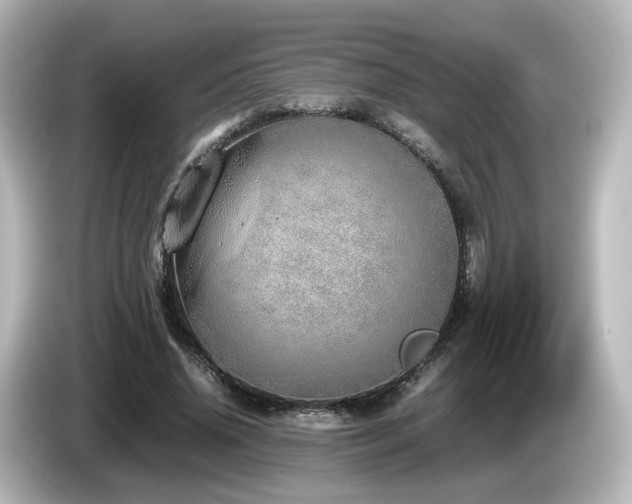 X0000085780636200703161207