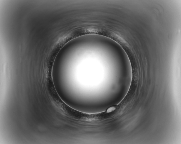 X0000085780639200703161207