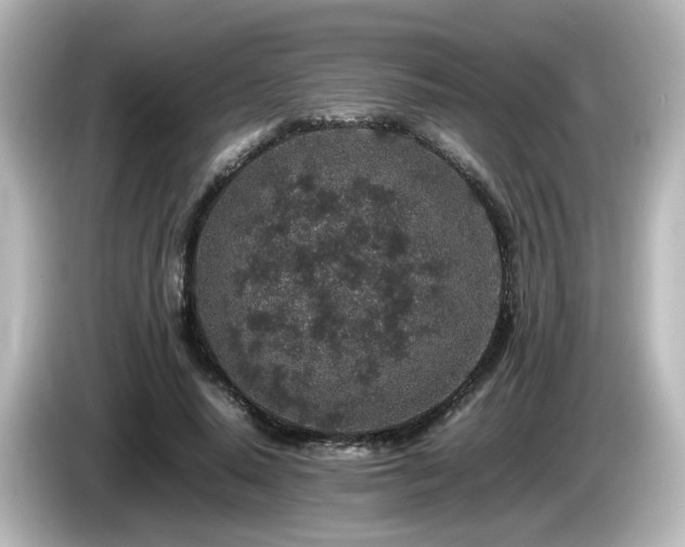 X0000085780640200703161207