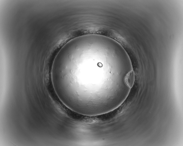 X0000085780642200703161207