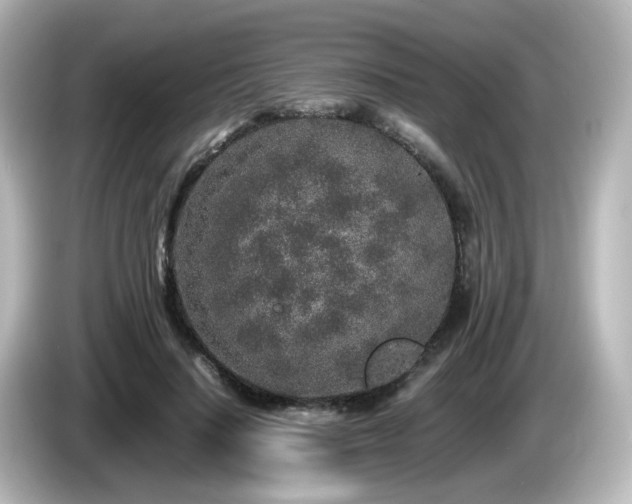 X0000085780644200703161207